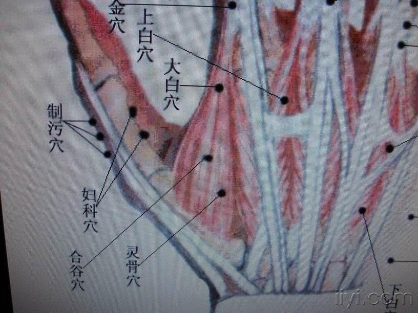 问这几张图的大白穴到底哪个正确