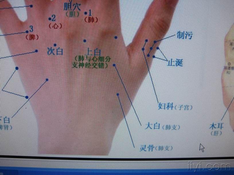 问这几张图的大白穴到底哪个正确