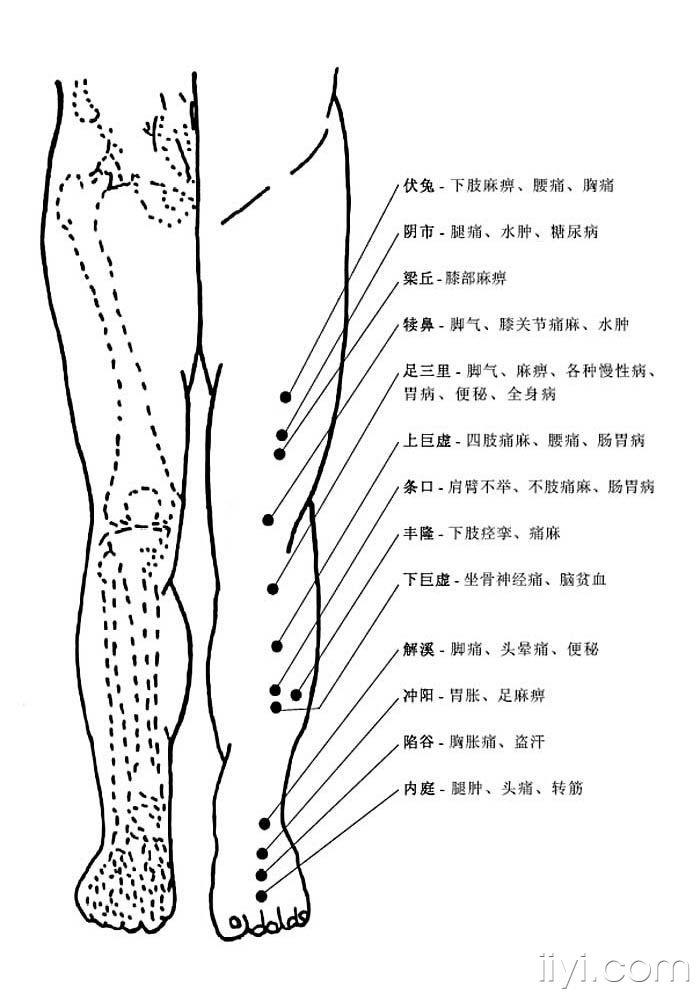 人体位置解释图图片