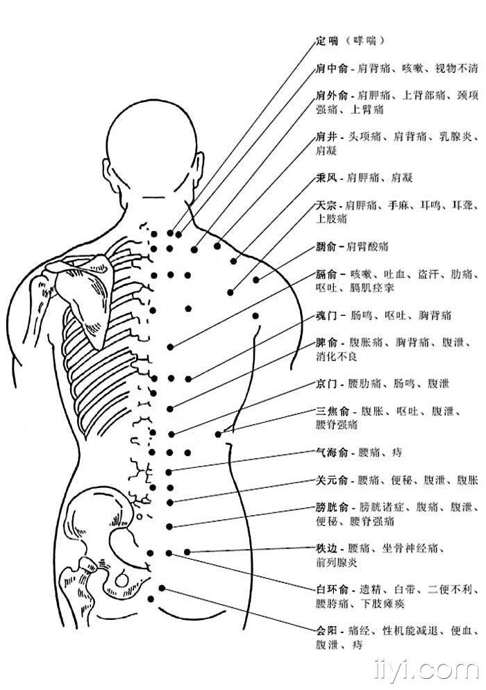 人体位置解释图图片