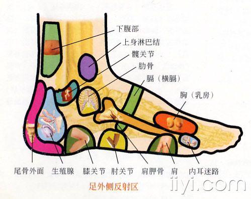 脚踝外侧经络图图片