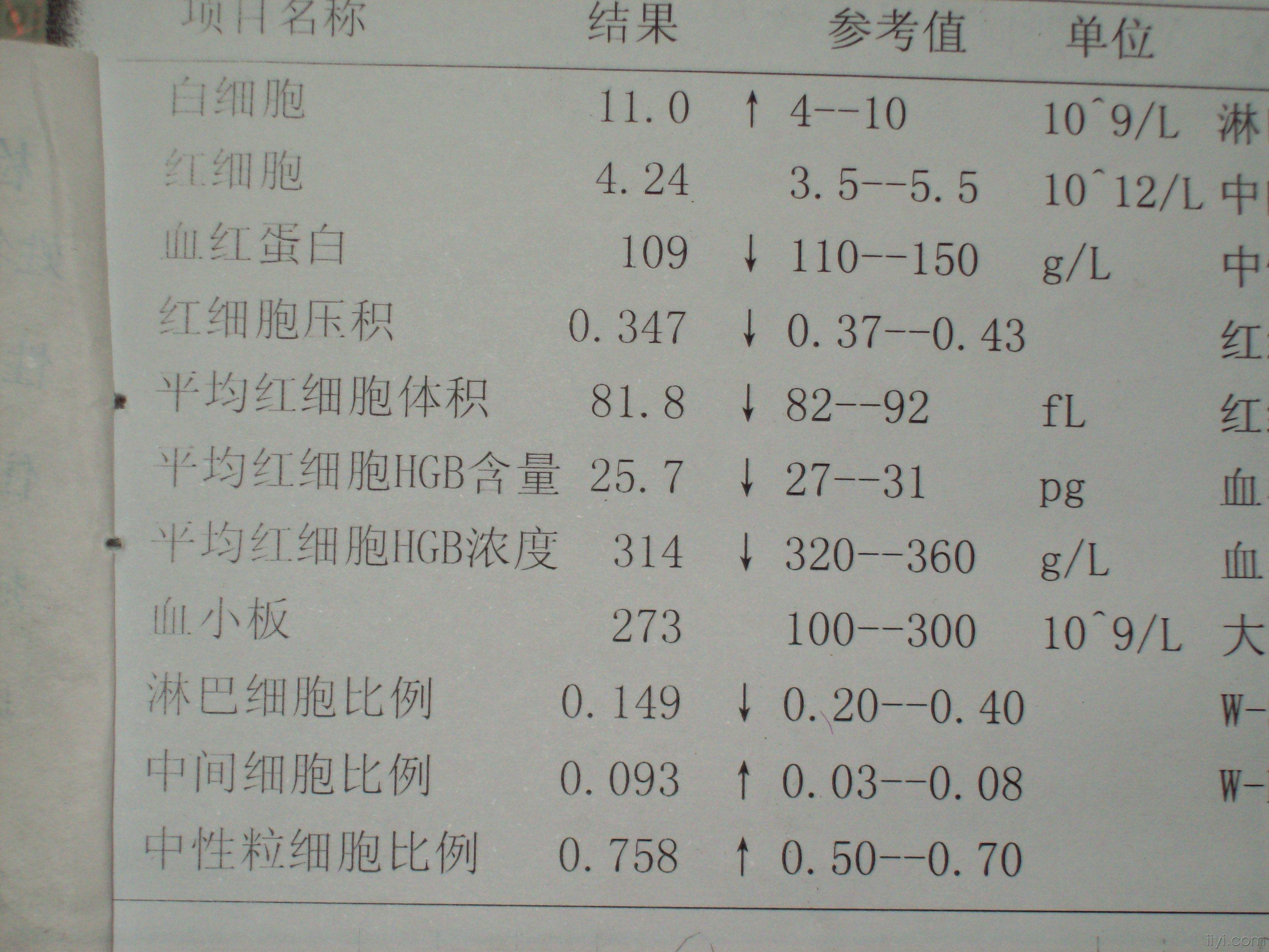 血常规a.jpg