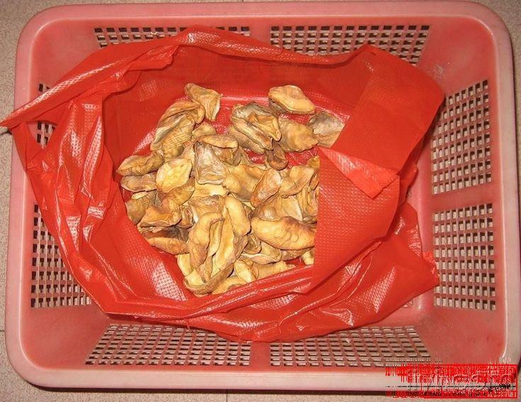生穿山甲如何炮制