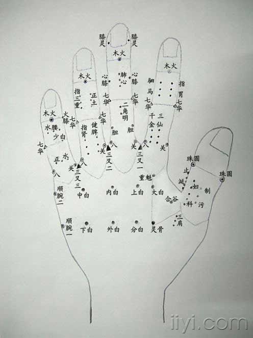 董氏手掌部穴位图