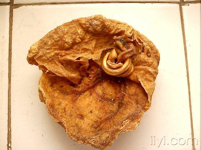 紫河车怎么辨别