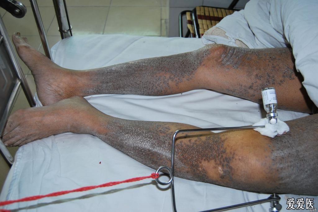 请大家给点意见图片太大已修改下次注意良版