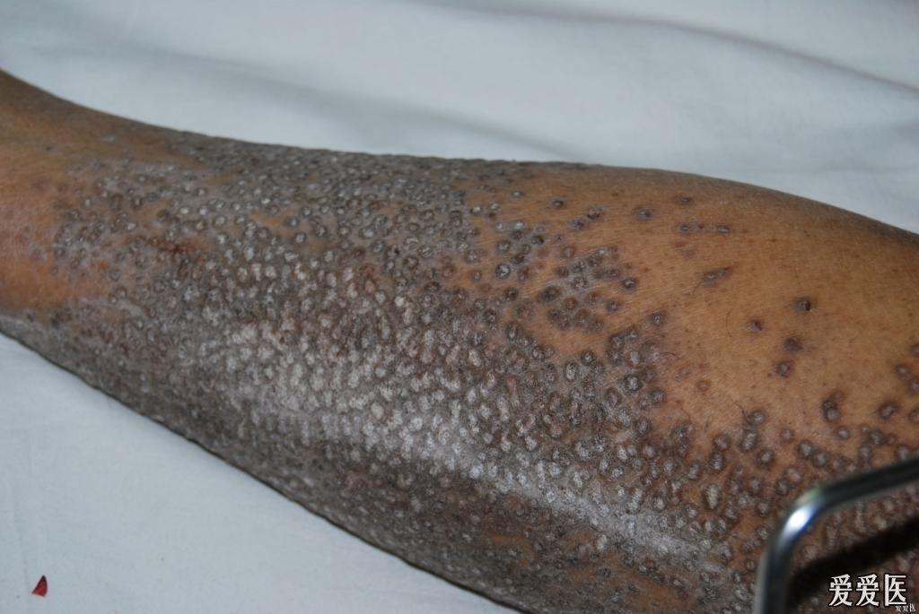 请大家给点意见图片太大已修改下次注意良版