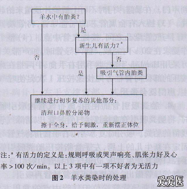 新生儿窒息复苏流程图最新新生儿复苏指南2011年北京修订