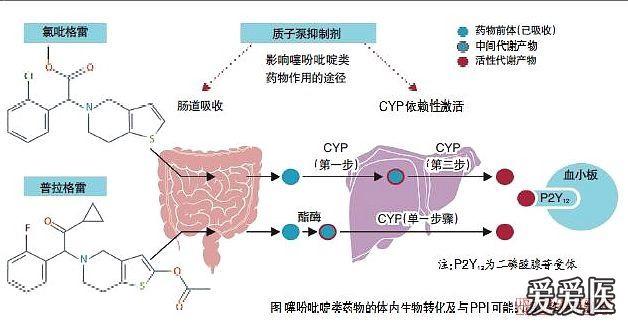 accf/acg/aha 专家共识更新 为减少抗血小板药物对胃肠道的不良影响