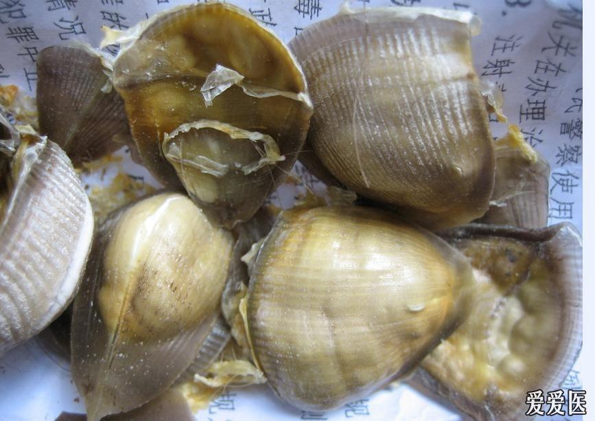 快速炮制山甲片