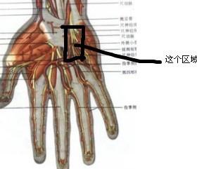 右手小指尺侧,靠近腕关节的地方            感谢版主的帮助