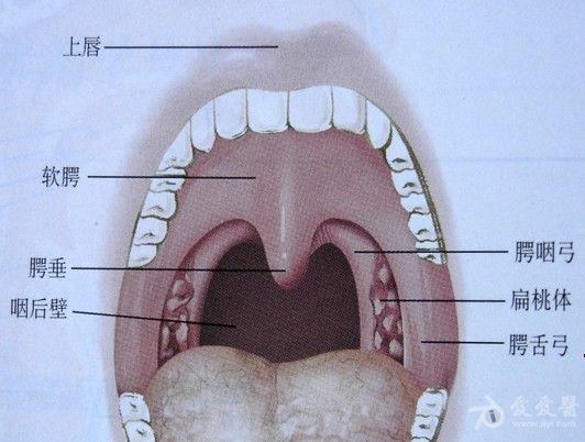 咽部正常的图片图片