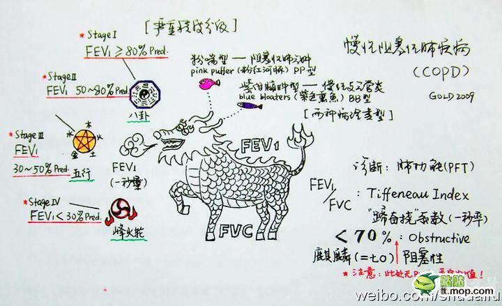 100个医学小知识