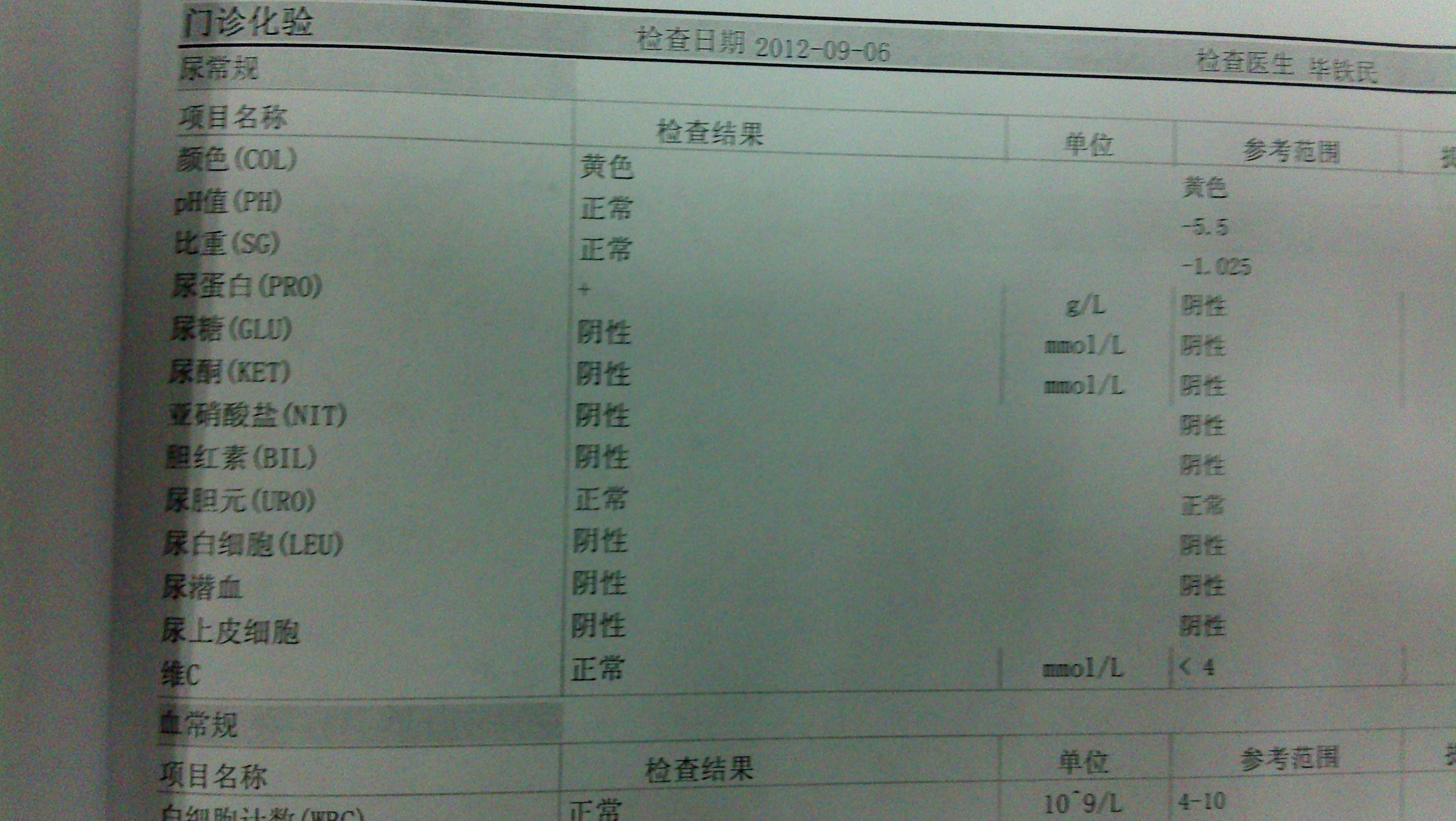 求助蛋白尿一個加號