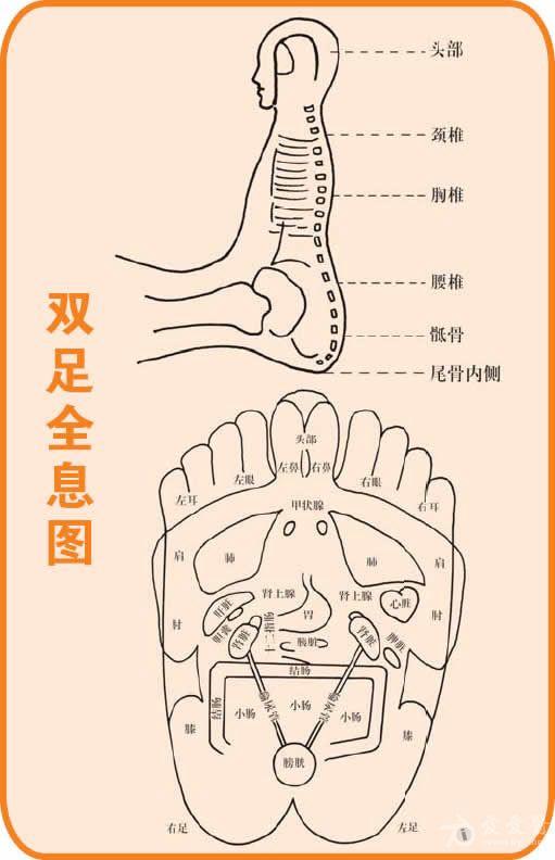 双足全息图jpg