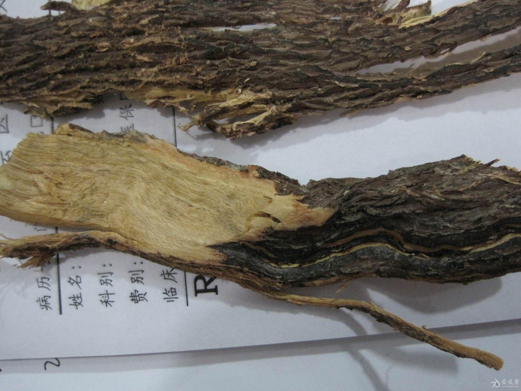 看看这是什么中药参与就送花