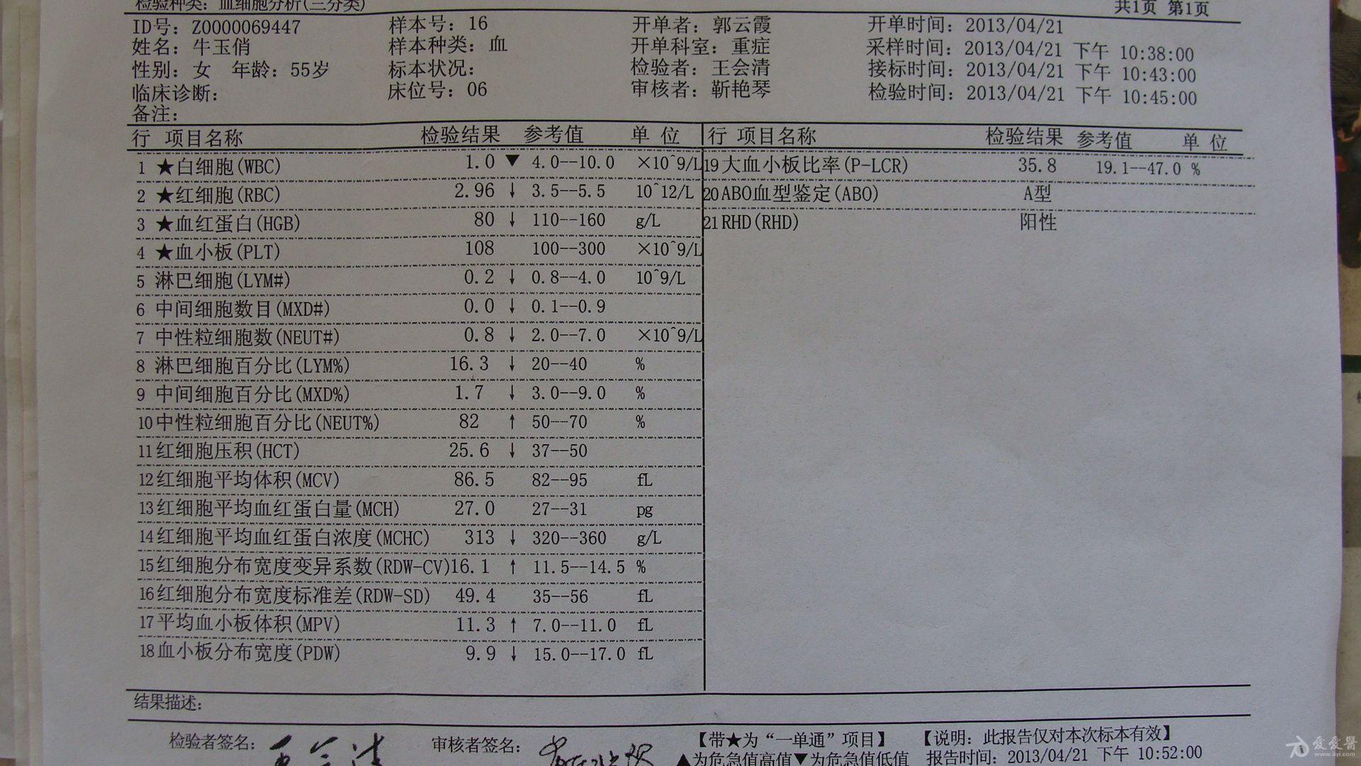 低血糖验血报告照片图片