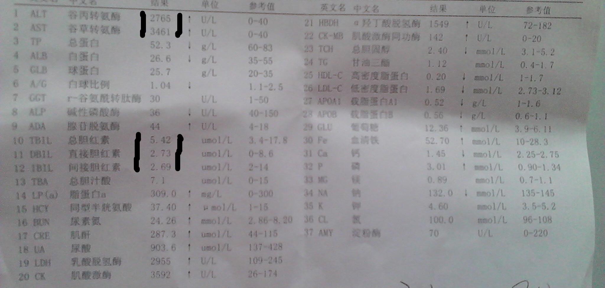 1305162243c9b6afda3ae00d88.jpg