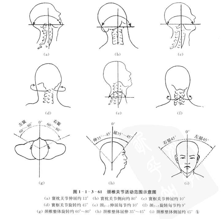 颈椎活动度测量示意图图片