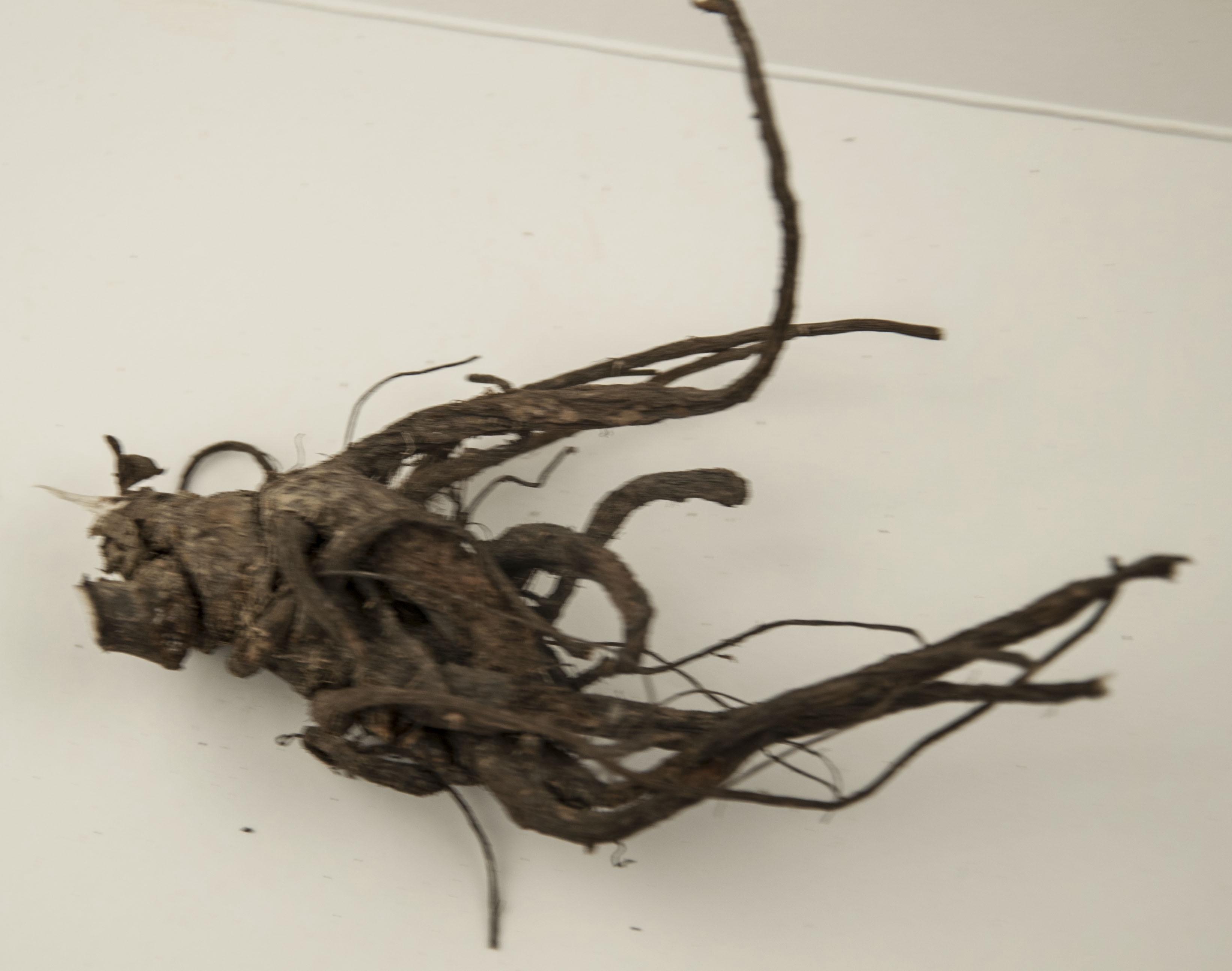 各位同仁帮忙看下这是个什么参