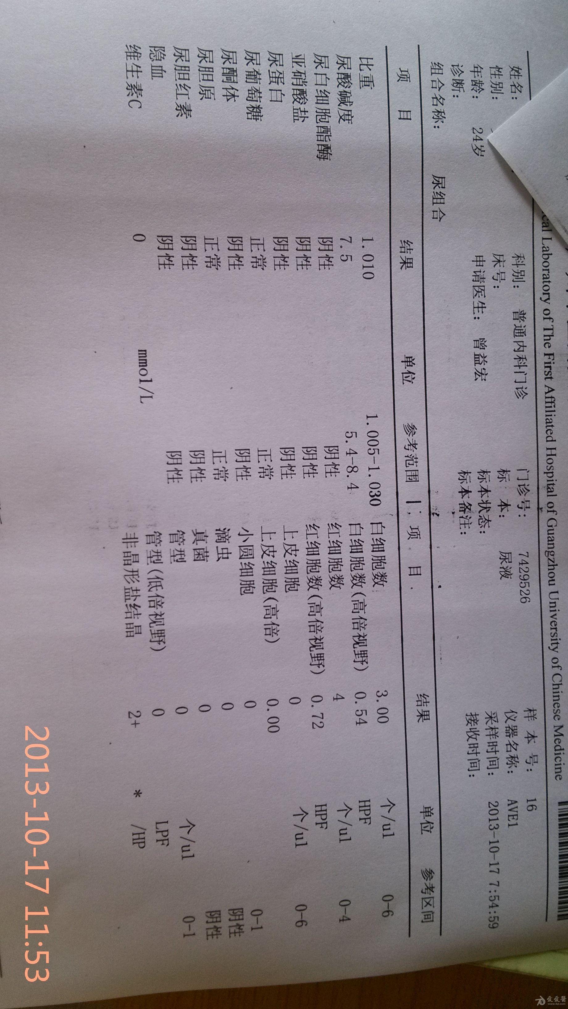 1310171203434536ec64184926.jpg