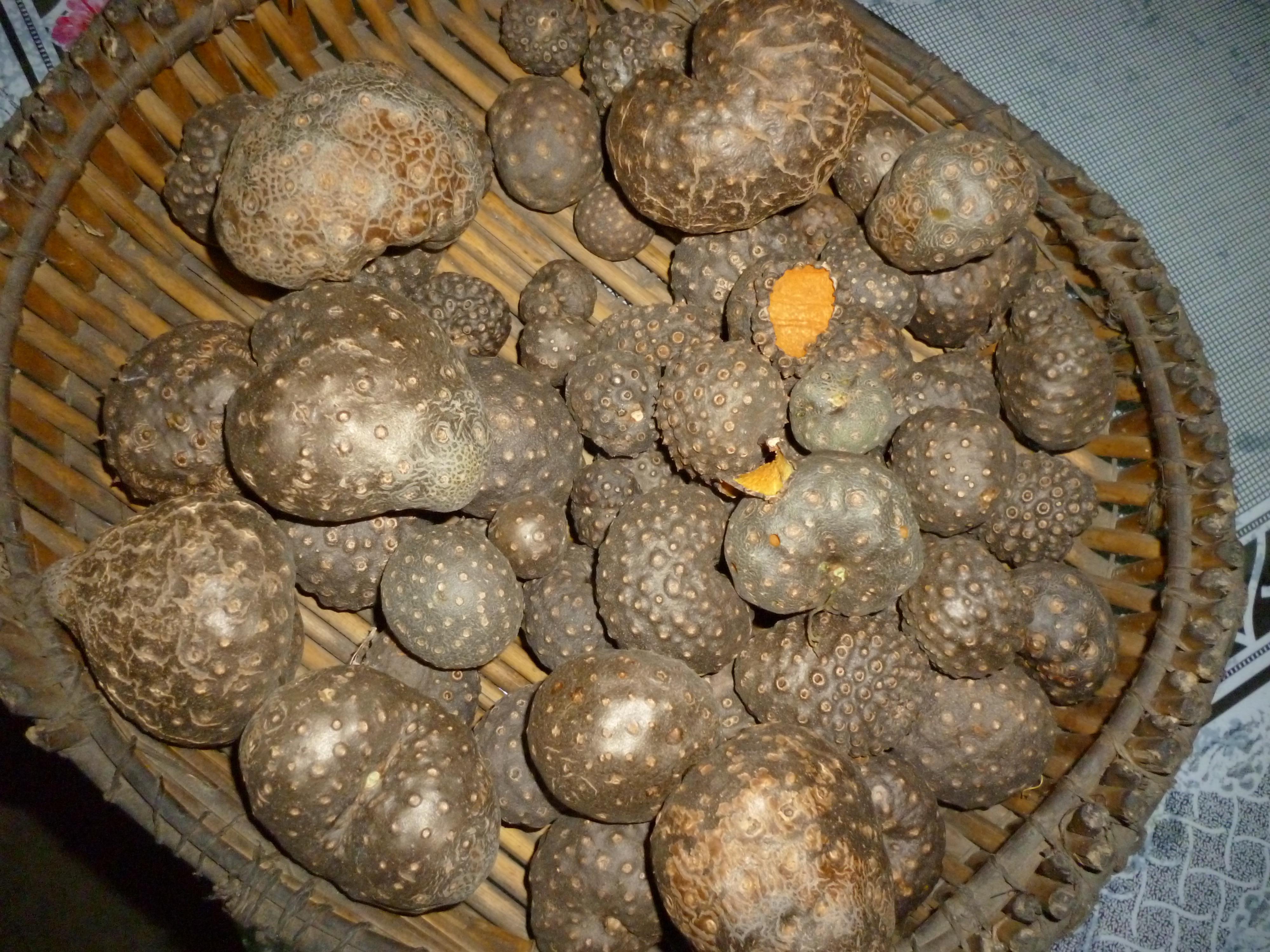 这是什么中草药大家认认谢谢