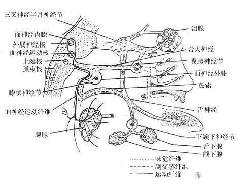 皰疹性----面神經炎一例