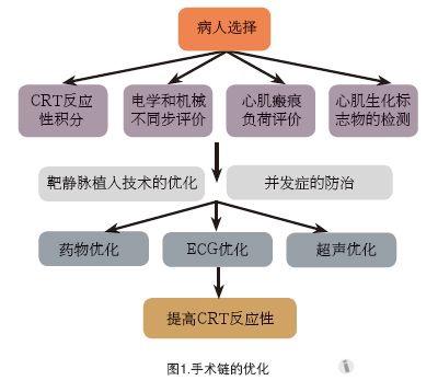 嚴激:慢性心力衰竭心臟再同步治療的系統優化