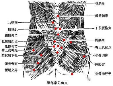 u=1471764706,1506277648&amp;fm=23&amp;gp=0.jpg