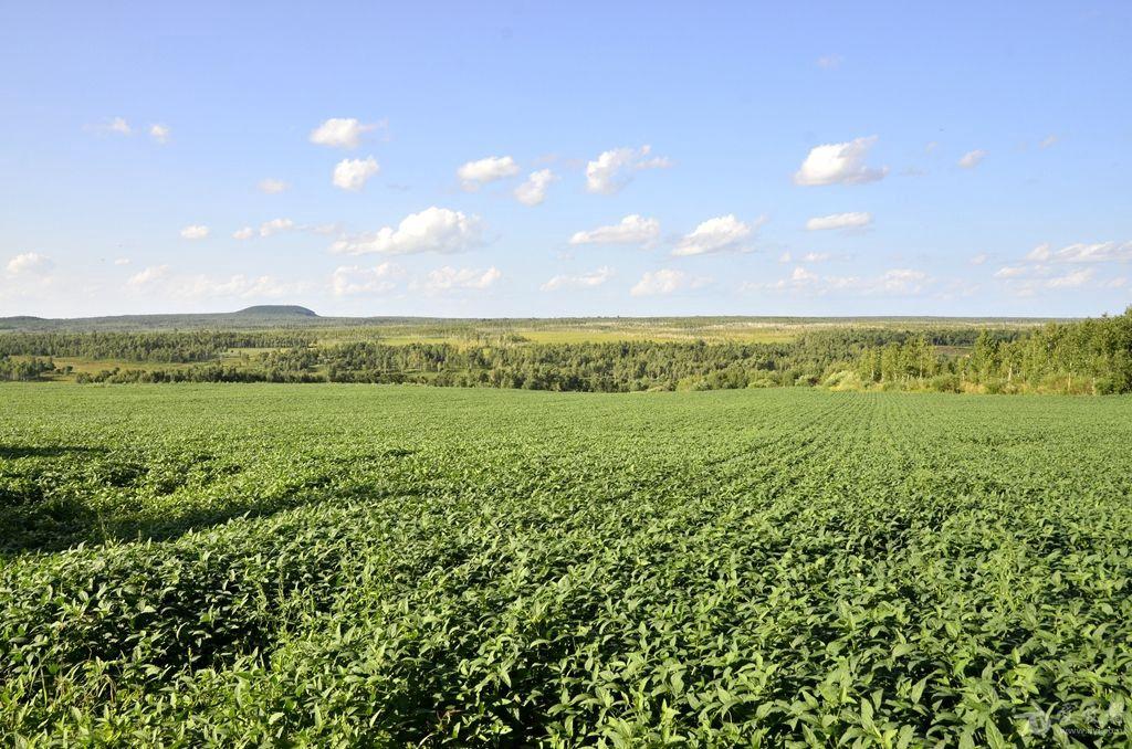 在那辽阔的黑土地上--小兴安岭摄影(东山村)