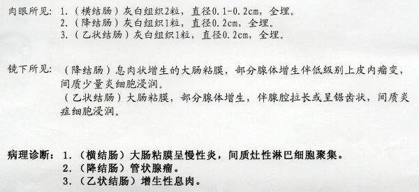 肠镜病理报告文字