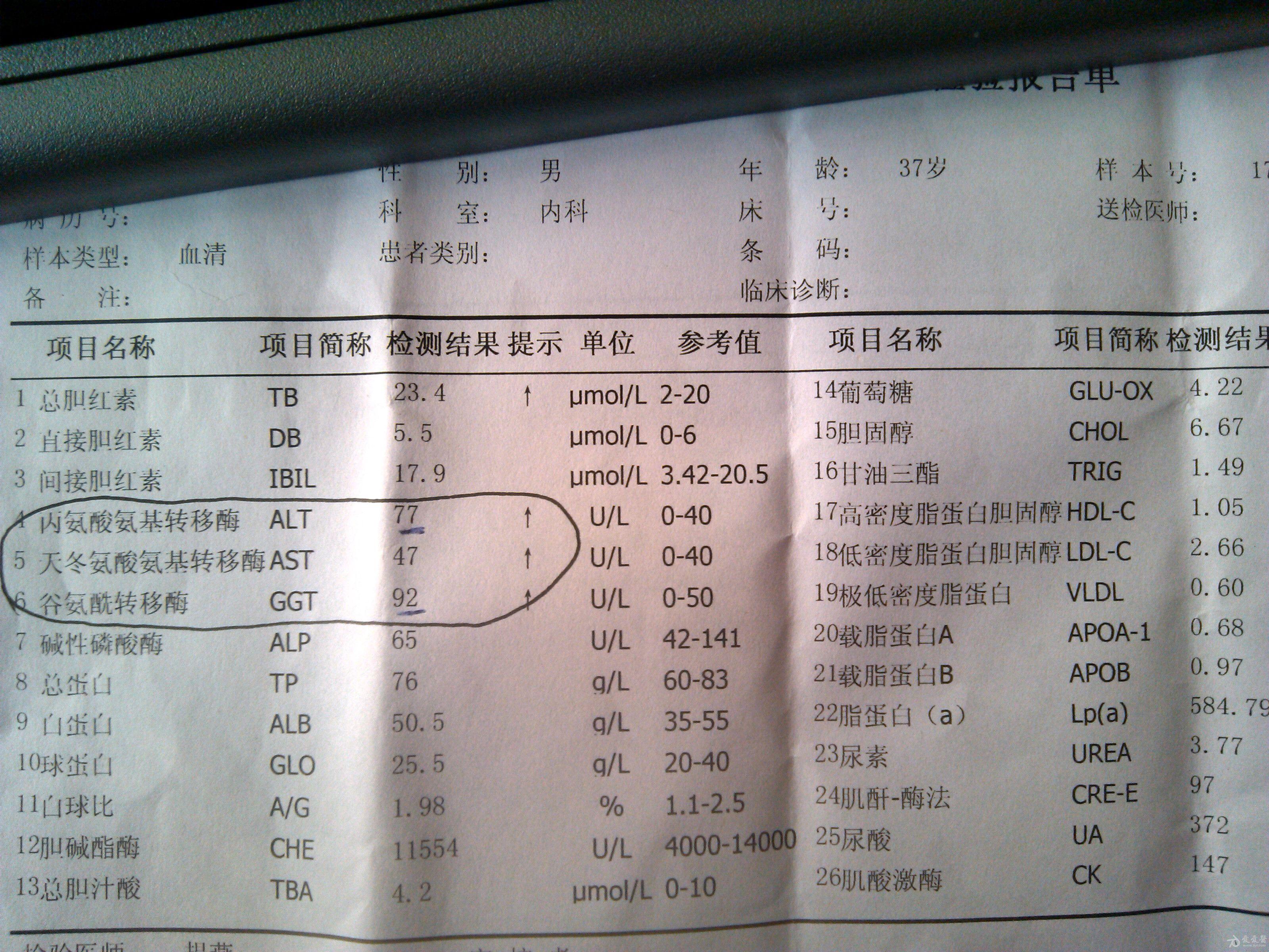 體檢肝功異常,求助 - 消化內科討論版 - 愛愛醫醫學論壇