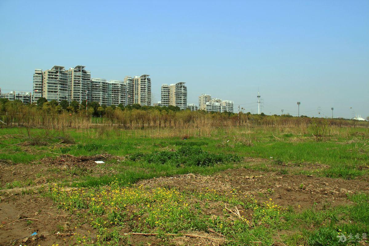 一套比较贴近生活的照片"武汉"