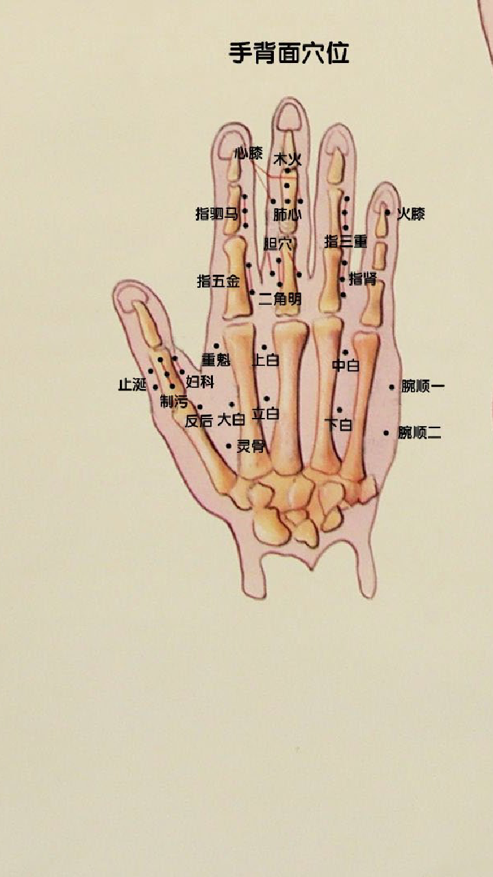 制污穴放血治口腔溃疡