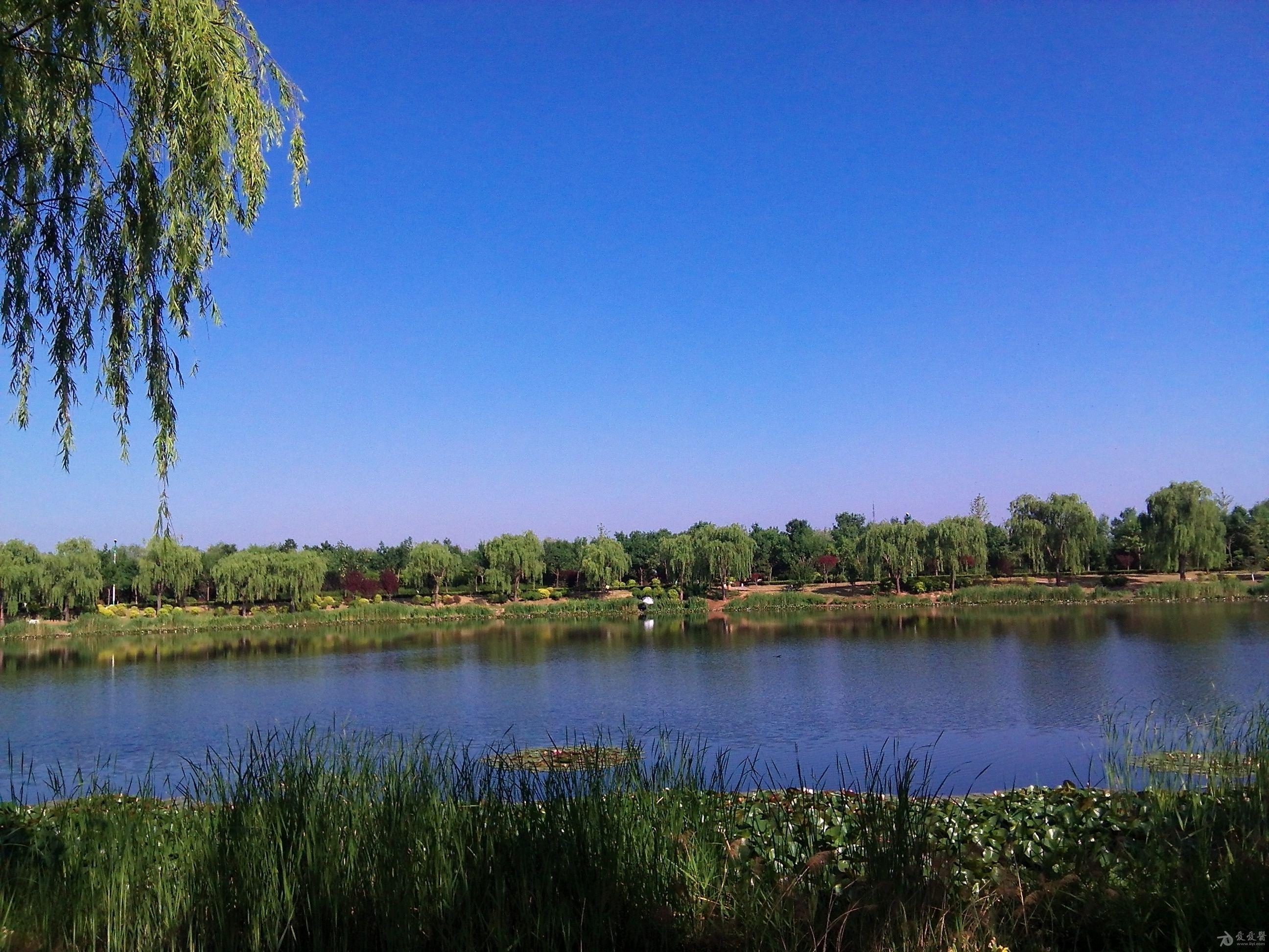 履坦湿地公园图片
