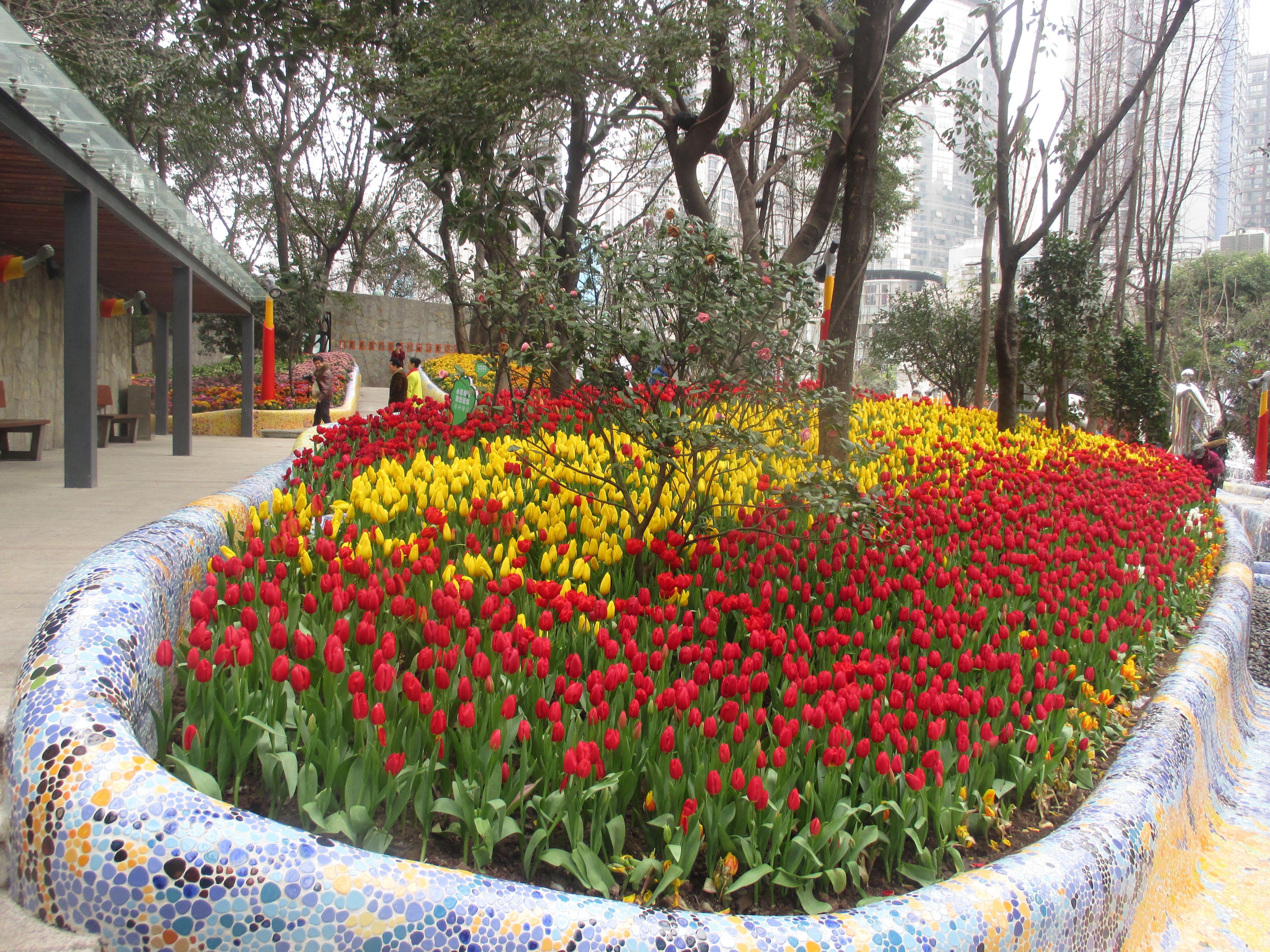 2016年春天重庆杨家坪梅堡游记