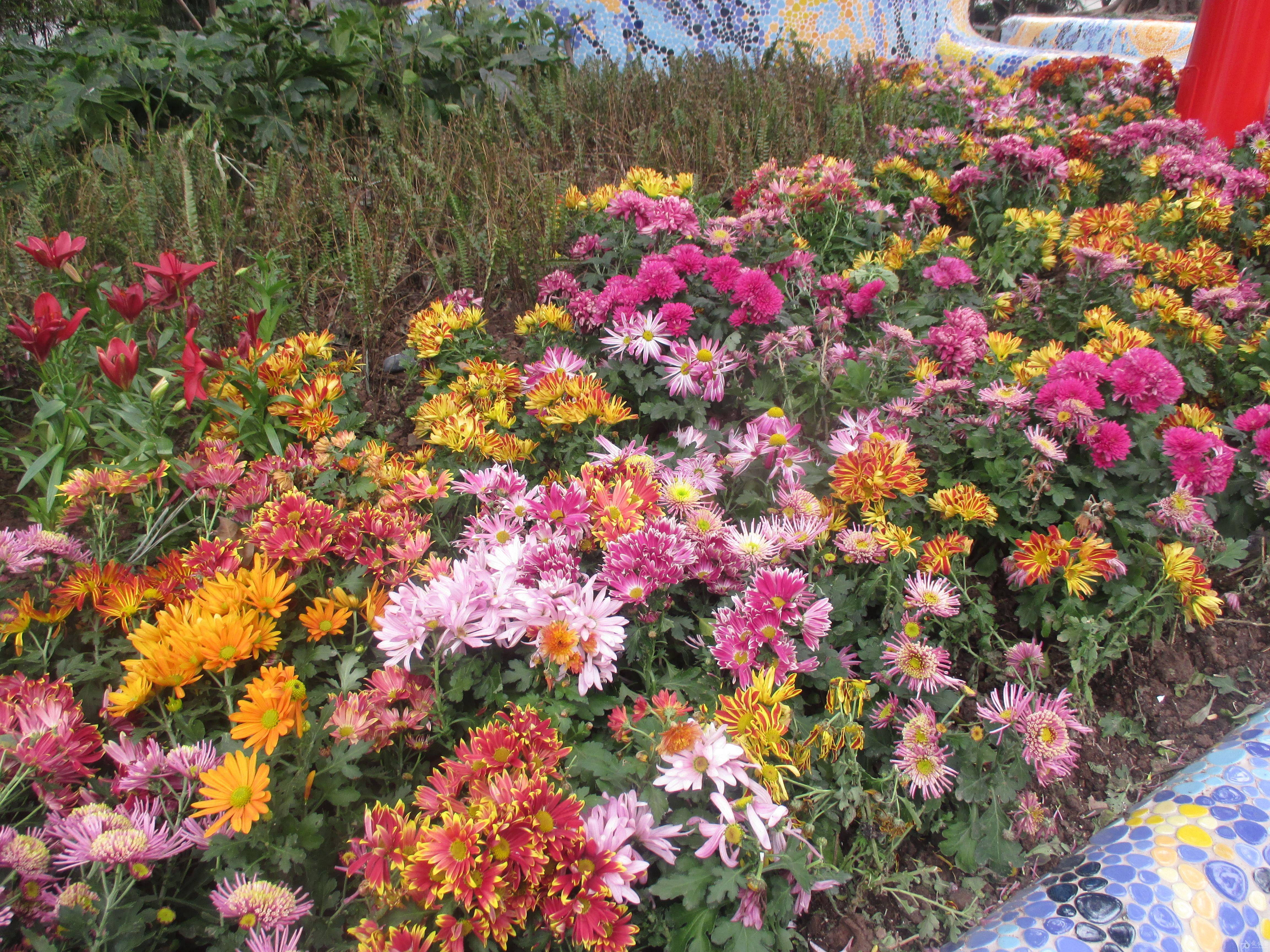 2016年春天重庆杨家坪梅堡游记