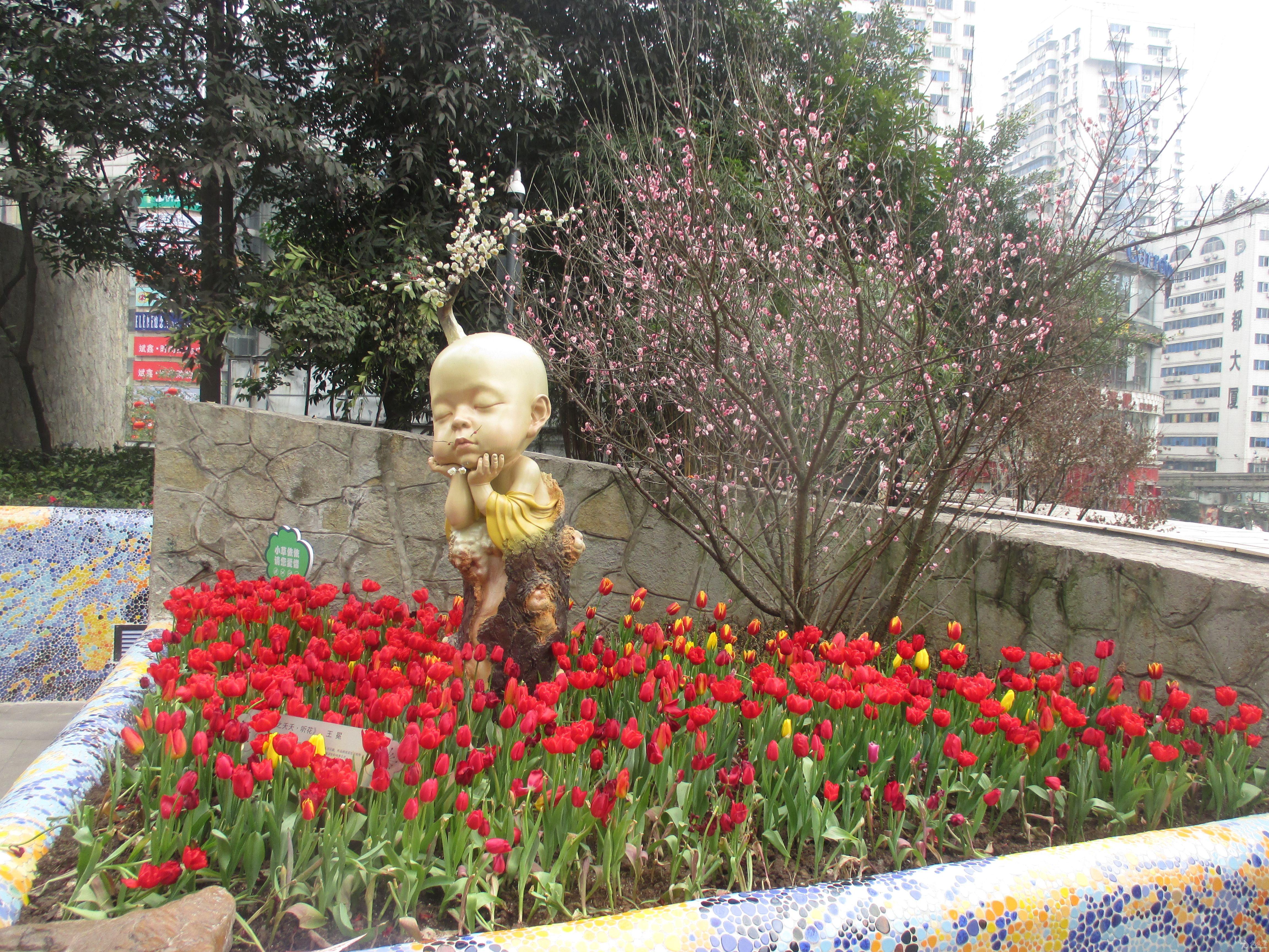 2016年春天重庆杨家坪梅堡游记