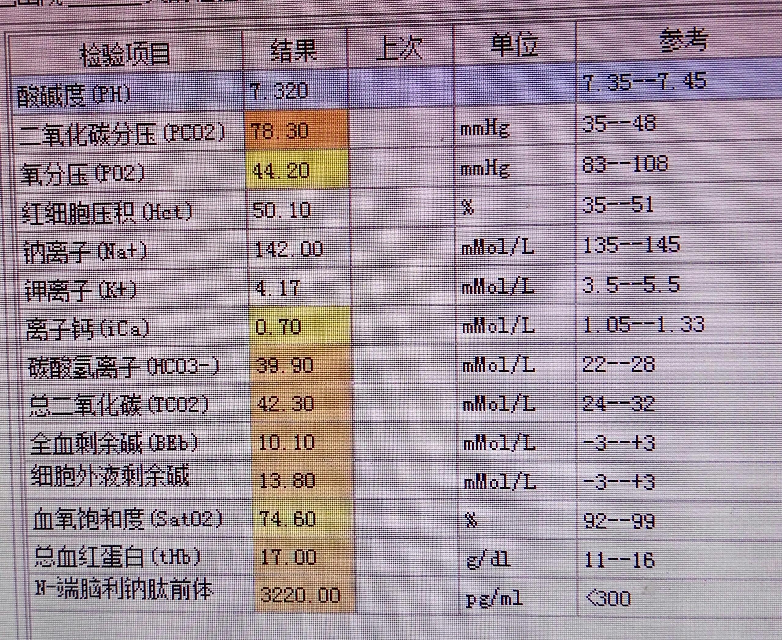 血气分析结果图图片