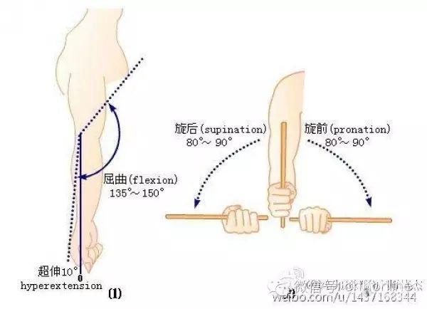 各关节活动度的参考值