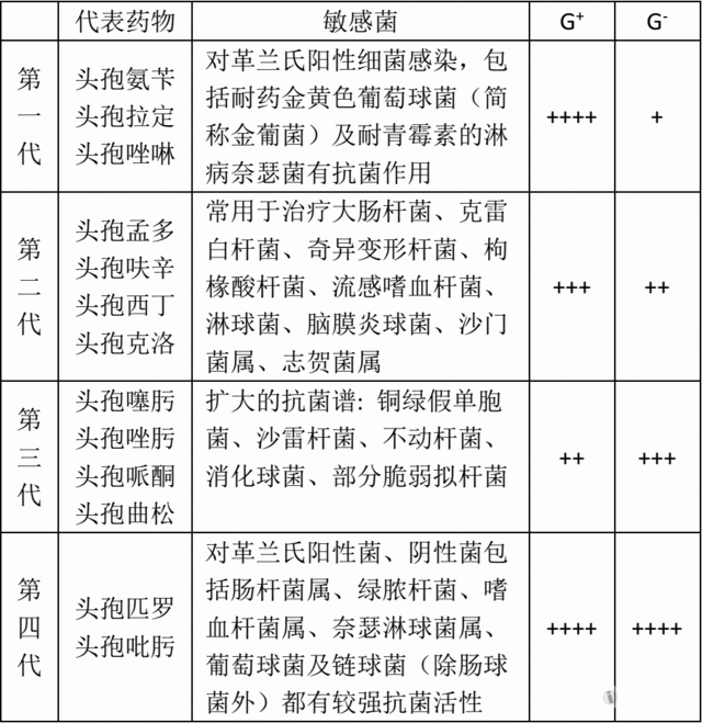 使用头孢菌素需要了解的 10 大要点