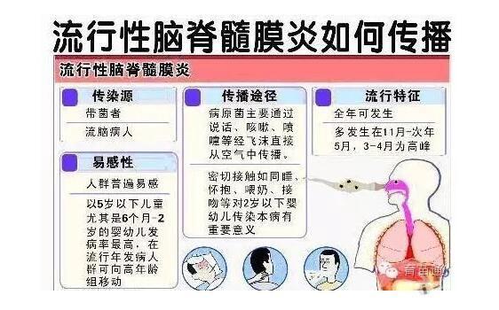 深秋季节,请及时接种流脑疫苗 - 预防医学和健康教育讨论版 - 爱爱医