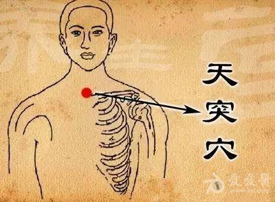咽炎反射区示意图图片
