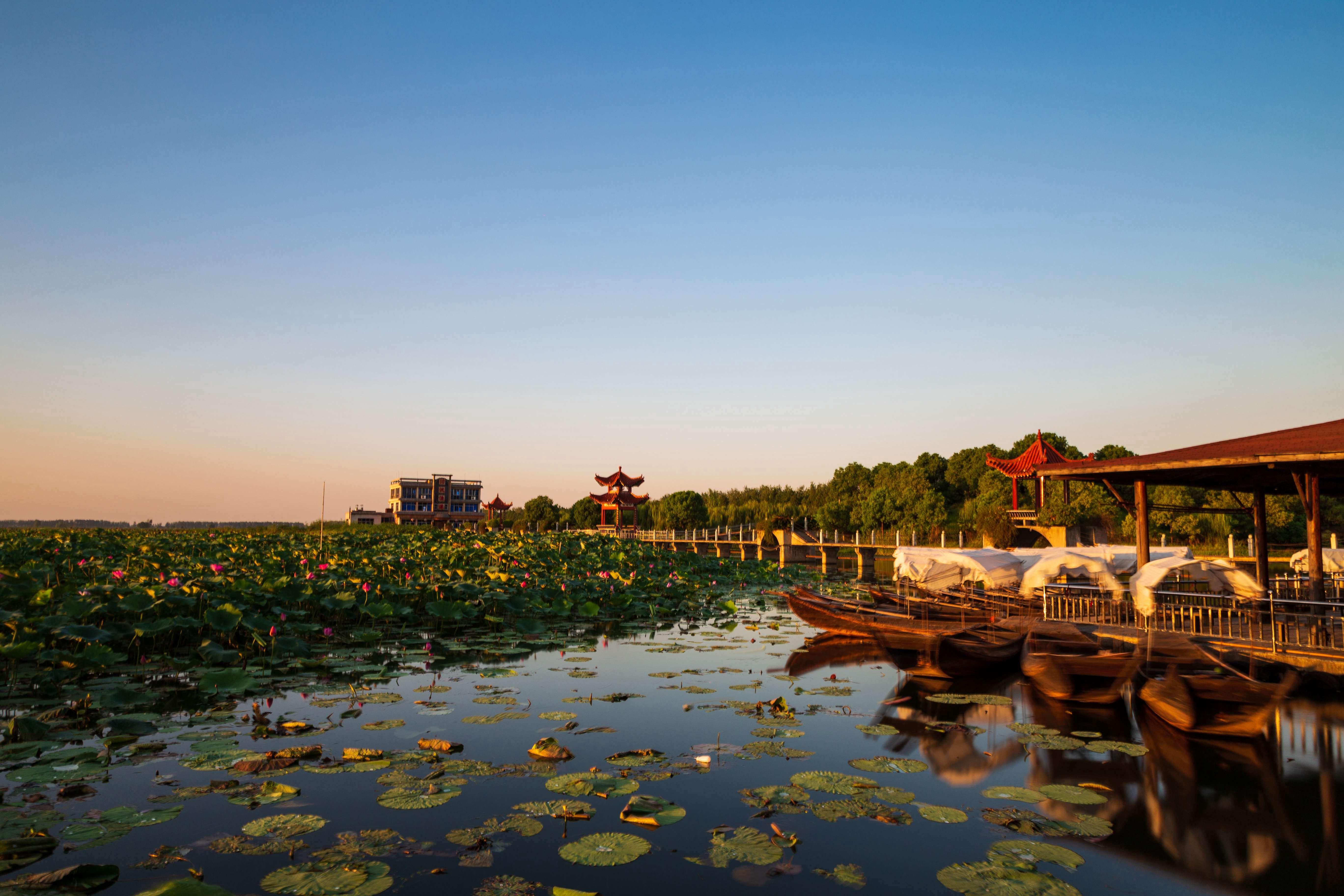 汈汊湖湿地公园图片