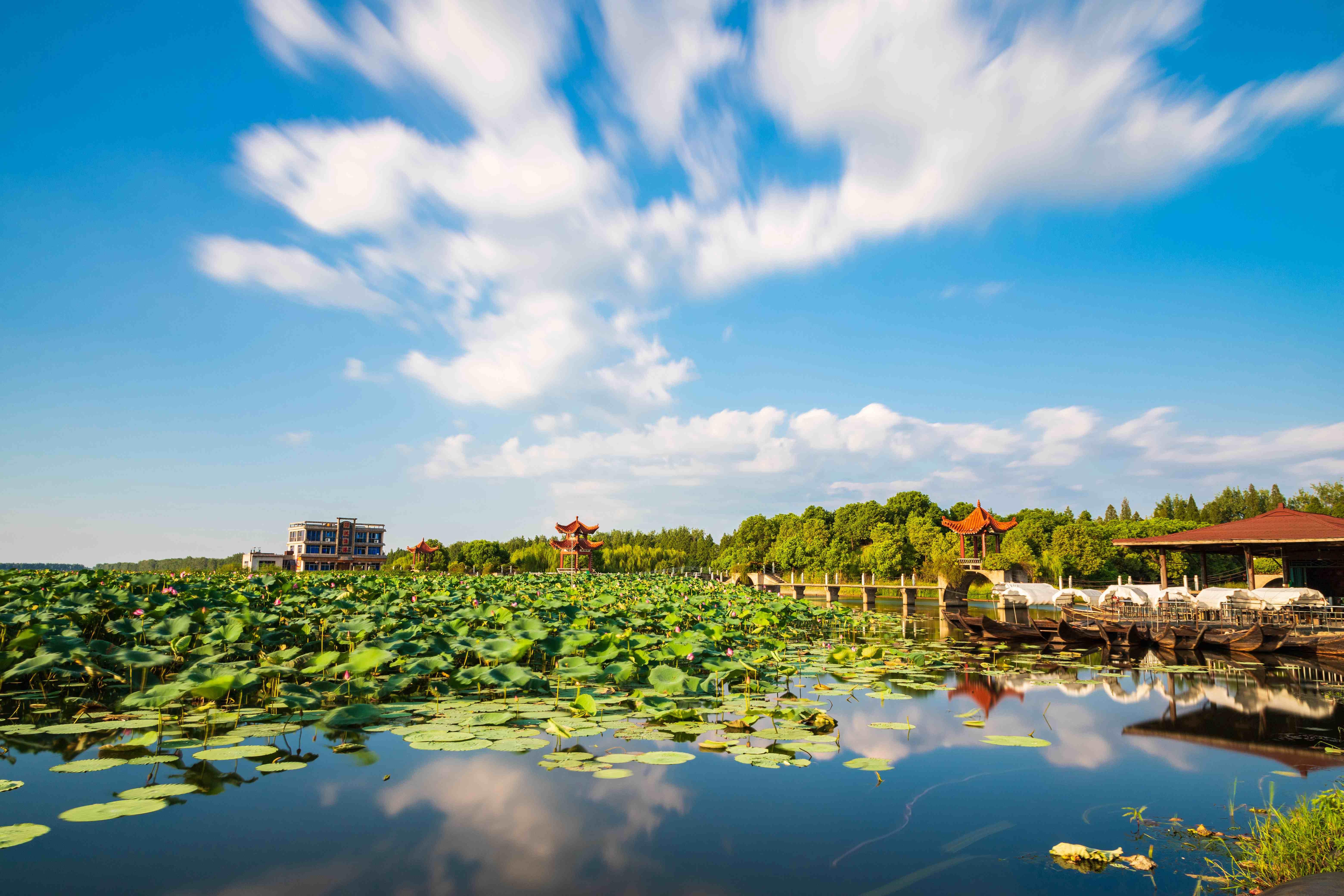 汈汊湖湿地公园图片