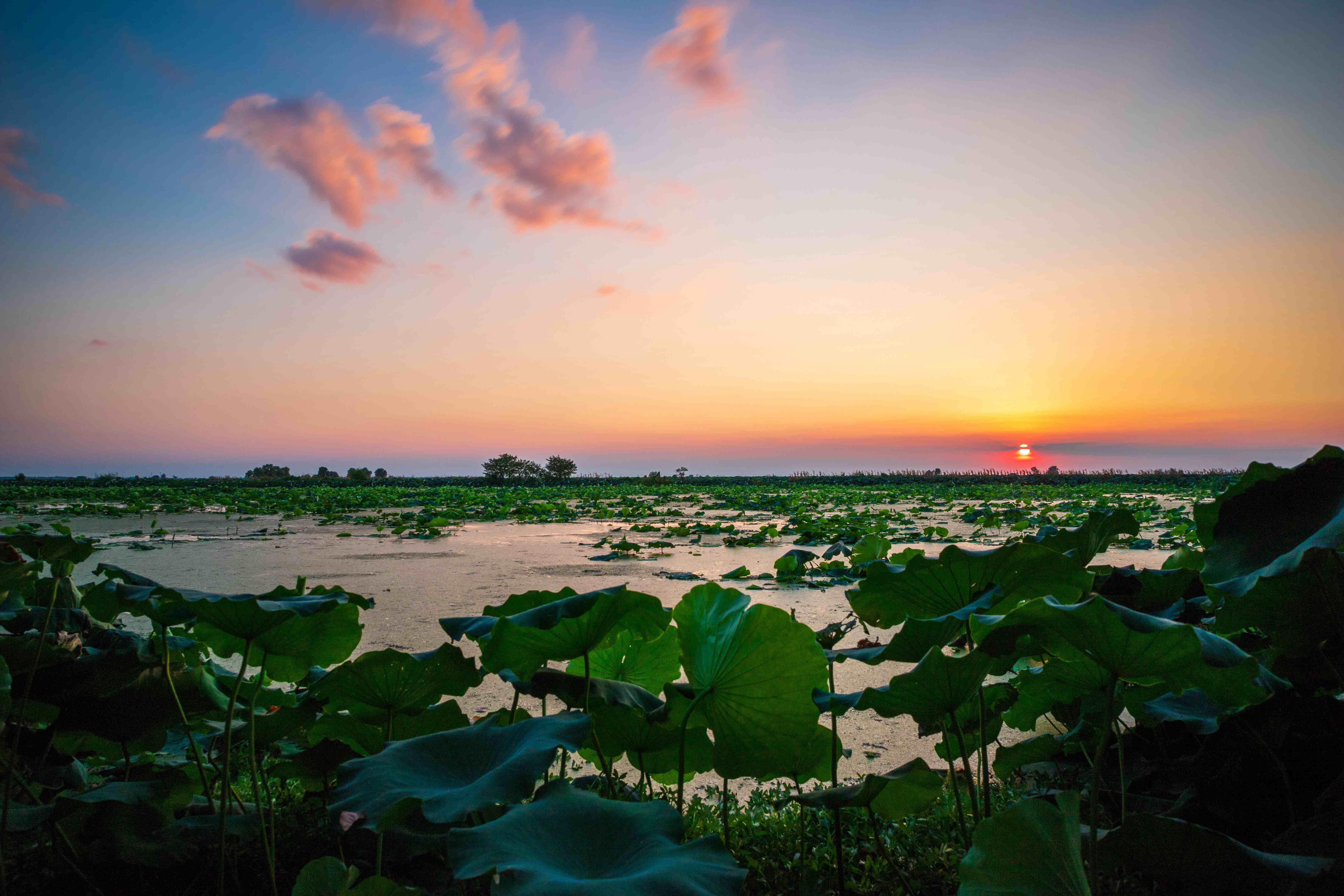 汈汊湖湿地公园图片